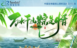 艾香粽叶裹温情 | 西宝生物端午福利致家人